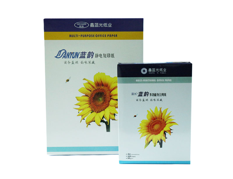 藍(lán)韻靜電復(fù)印紙